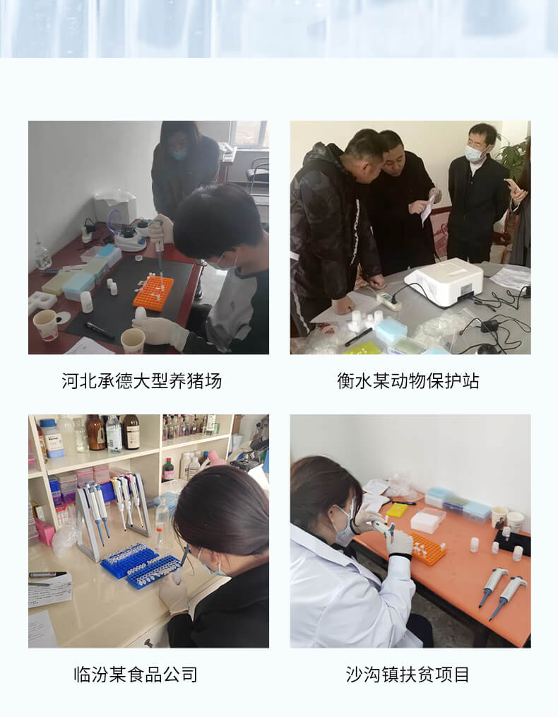 非洲豬瘟檢測(cè)儀
