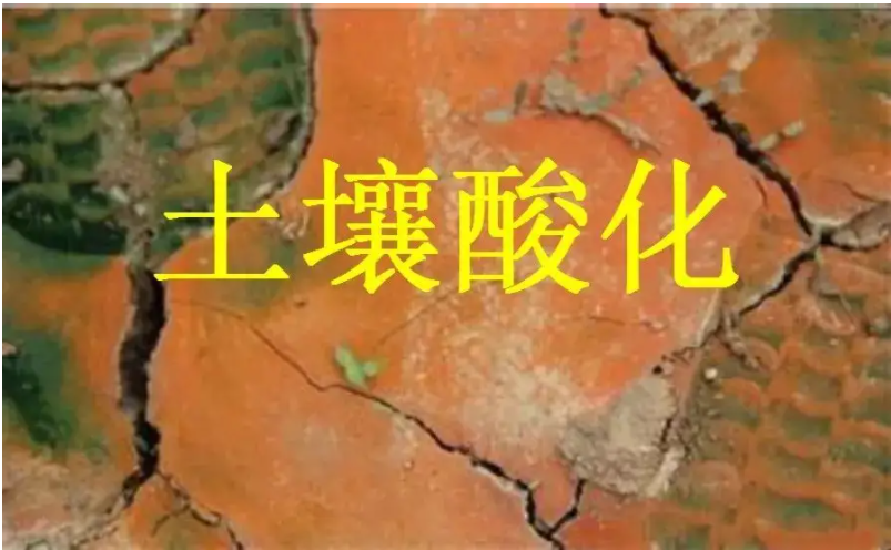 識(shí)別土壤“病”，土壤測試儀器是如何提高土壤免疫力的？